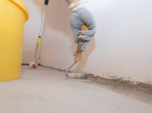 Best Termite Inspection and Treatment  in Cadillac, MI